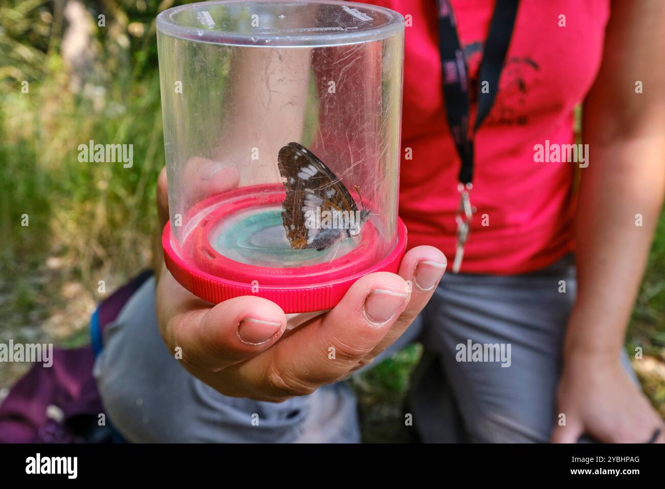 France, Indre (36), Berry, Brenne, Naturpark, Valérie Le Mercier, Moderatorin im Regionalen Naturpark von Brenne Stockfoto