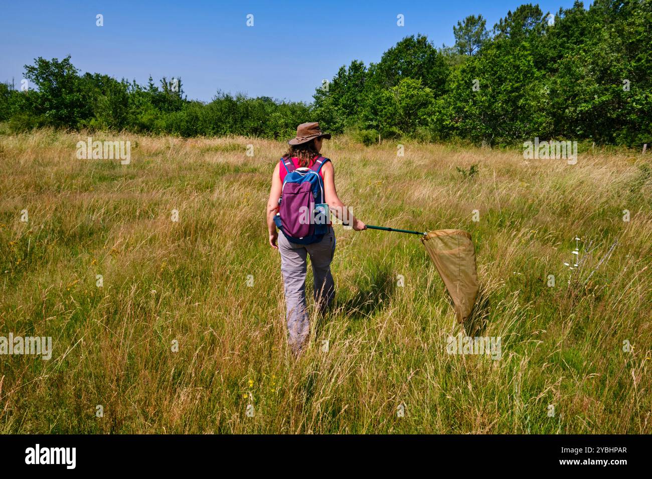 France, Indre (36), Berry, Brenne, Naturpark, Valérie Le Mercier, Moderatorin im Regionalen Naturpark von Brenne Stockfoto