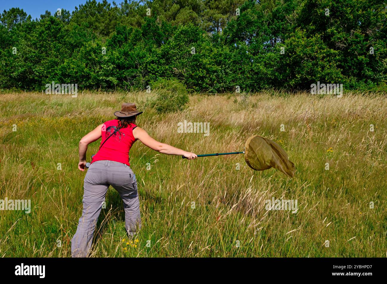 France, Indre (36), Berry, Brenne, Naturpark, Valérie Le Mercier, Moderatorin im Regionalen Naturpark von Brenne Stockfoto