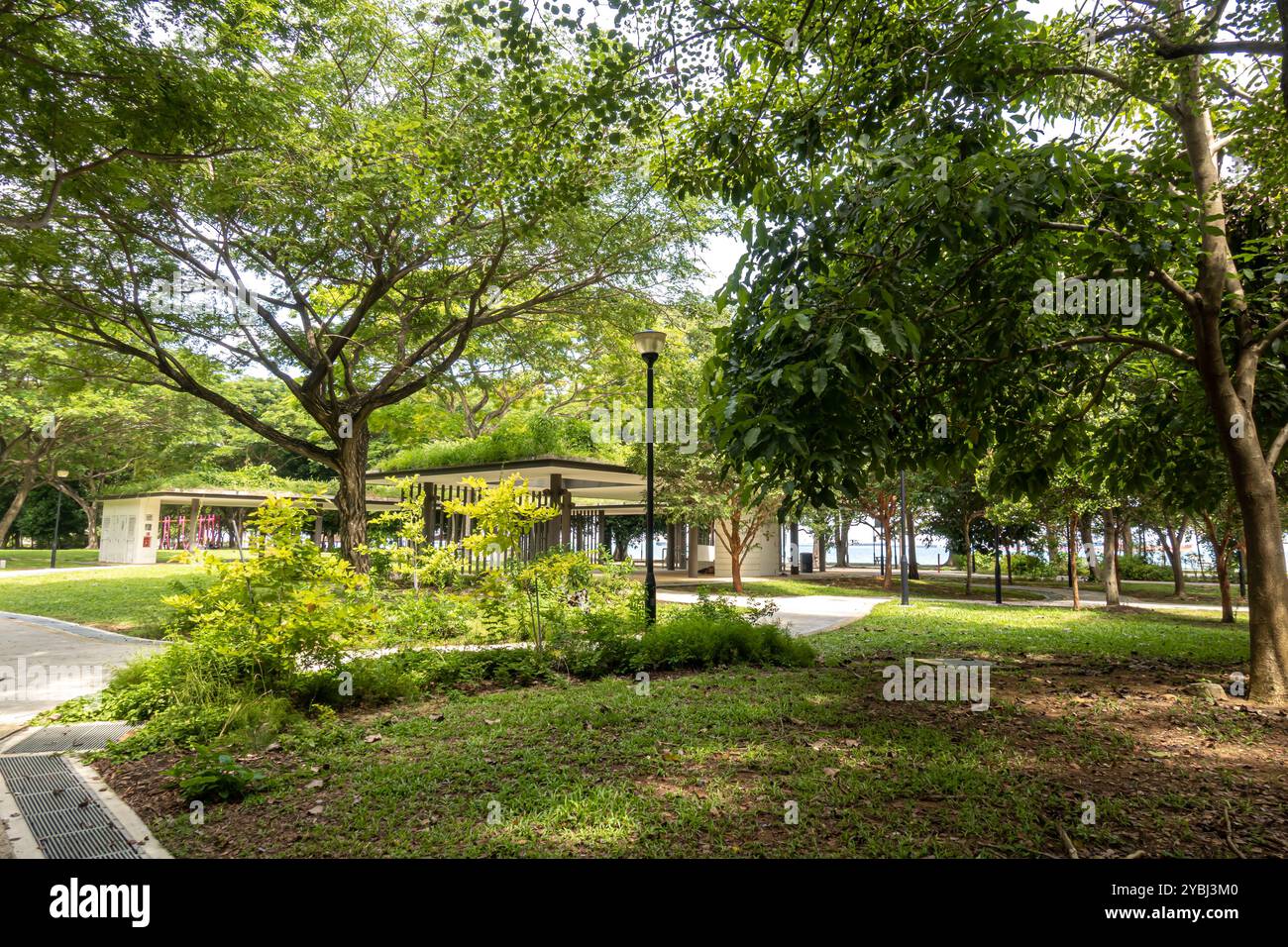 Regenwaldbäume im East Coast Park, Singapur, Asien Stockfoto