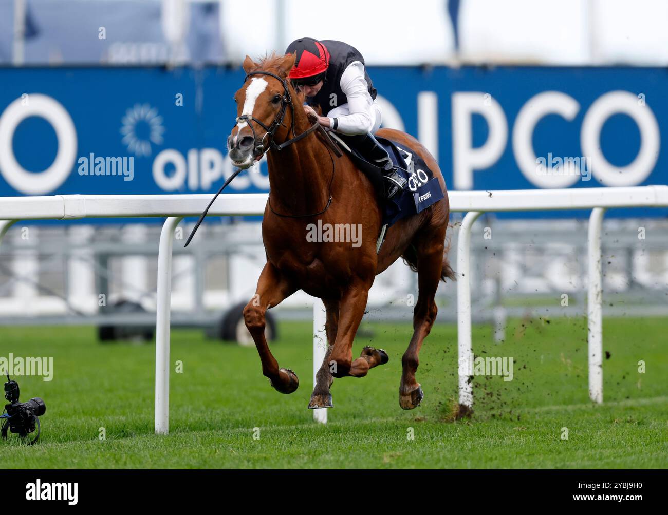 Kyprios mit Ryan Moore gewinnt den Qipco British Champions Long Distance Cup während des QIPCO British Champions Day auf der Ascot Racecourse in Berkshire. Bilddatum: Samstag, 19. Oktober 2024. Stockfoto