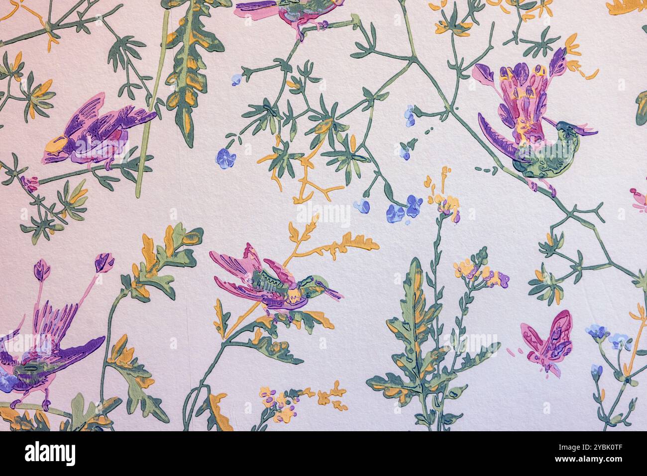 Cole &Son Kolibri Wallpaper Stockfoto