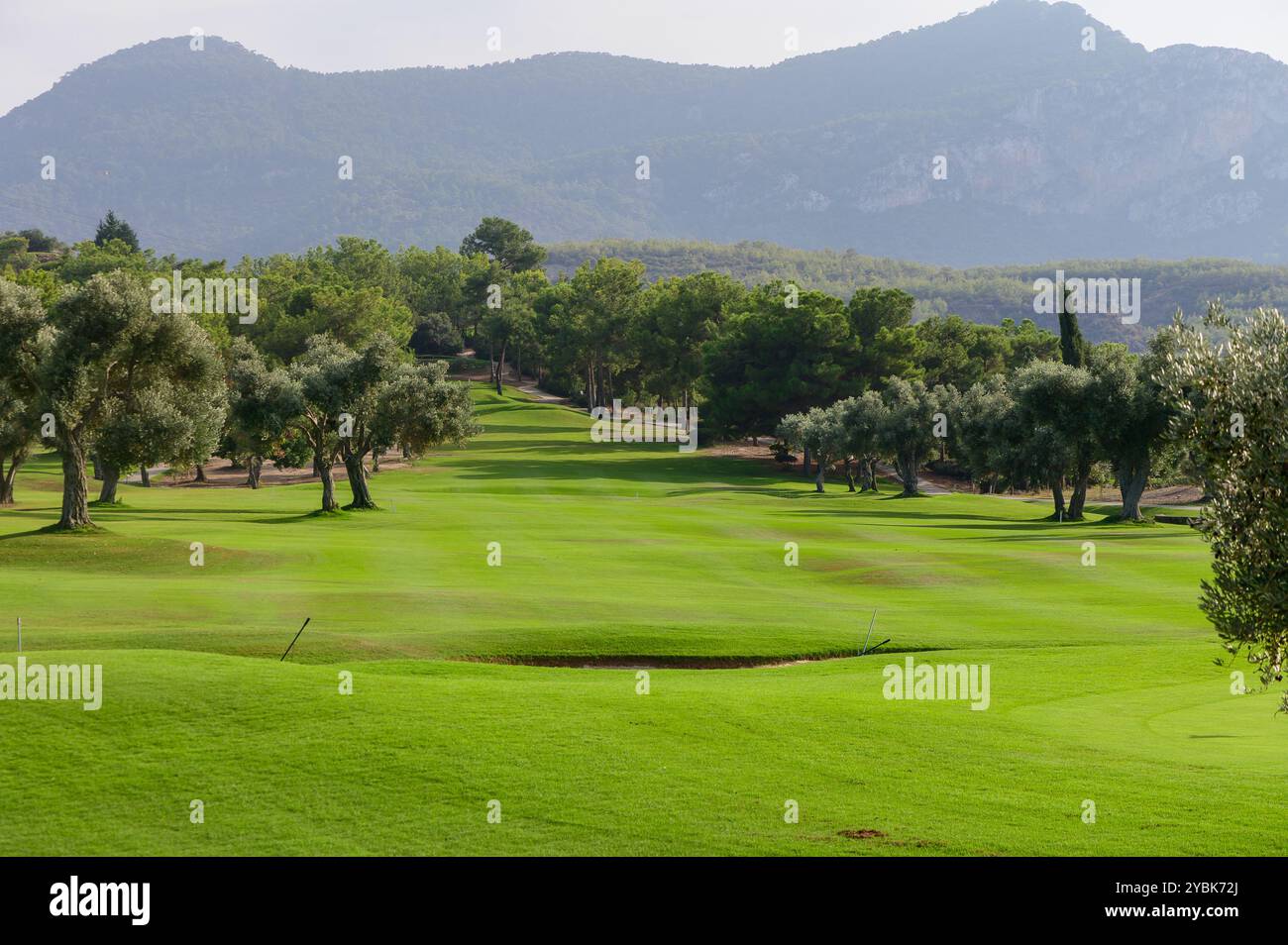 Unter blauem Himmel erstreckt sich ein üppiger Golfplatz bis in die fernen Berge und verfügt über gepflegte Fairways, die von Olivenbäumen gesäumt sind Stockfoto