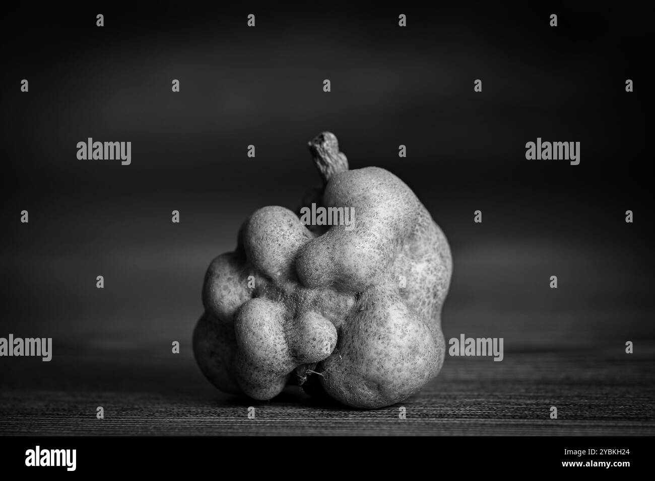 Deformierte, missgebildete oder atypische Früchte, Birne im Studio Stockfoto
