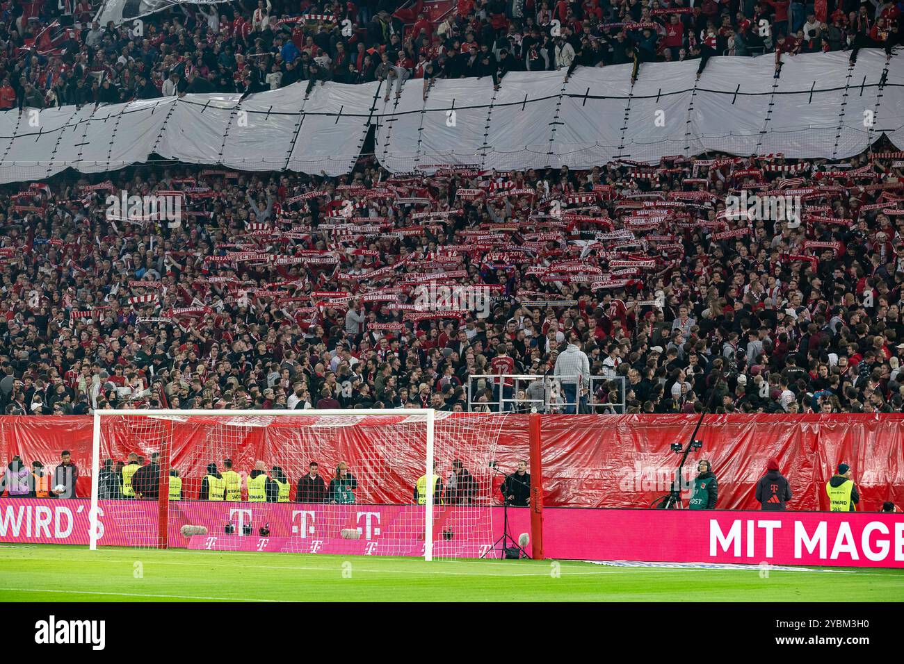 Schalparade in der Suedkurve mit den Bayern - Fans. GER, FC Bayern München gegen VfB Stuttgart, Fussball, Bundesliga, 7. Spieltag, Spielzeit 2024/2025, 19.10.2024. (DIE DFL-DFB-VORSCHRIFTEN VERBIETEN DIE VERWENDUNG VON FOTOS ALS BILDSEQUENZEN UND/ODER QUASI-VIDEO). Foto: Eibner-Pressefoto/Heike Feiner Stockfoto