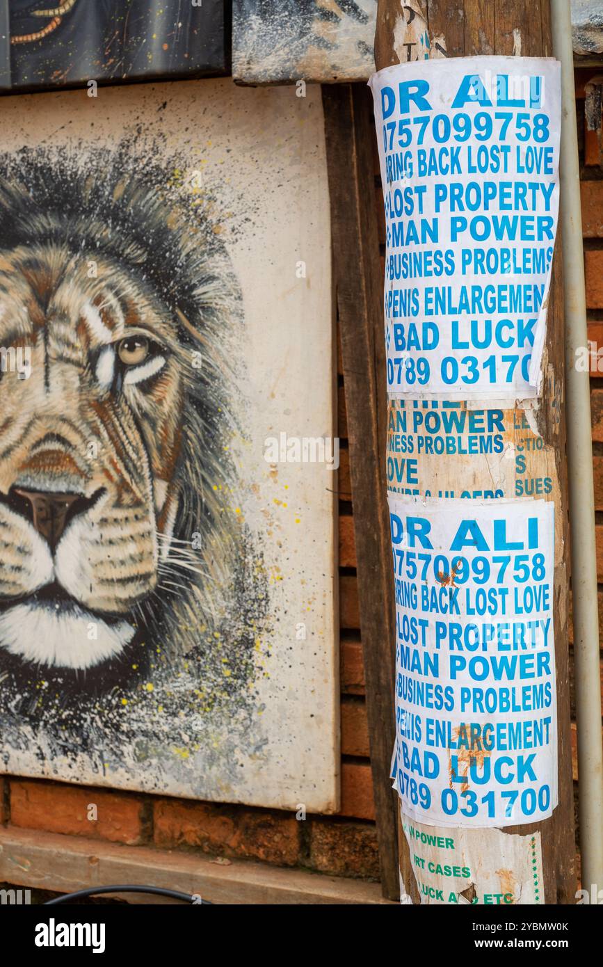 Lustige Plakate Werbedienste von Hexenärzten in Kampala Uganda Stockfoto
