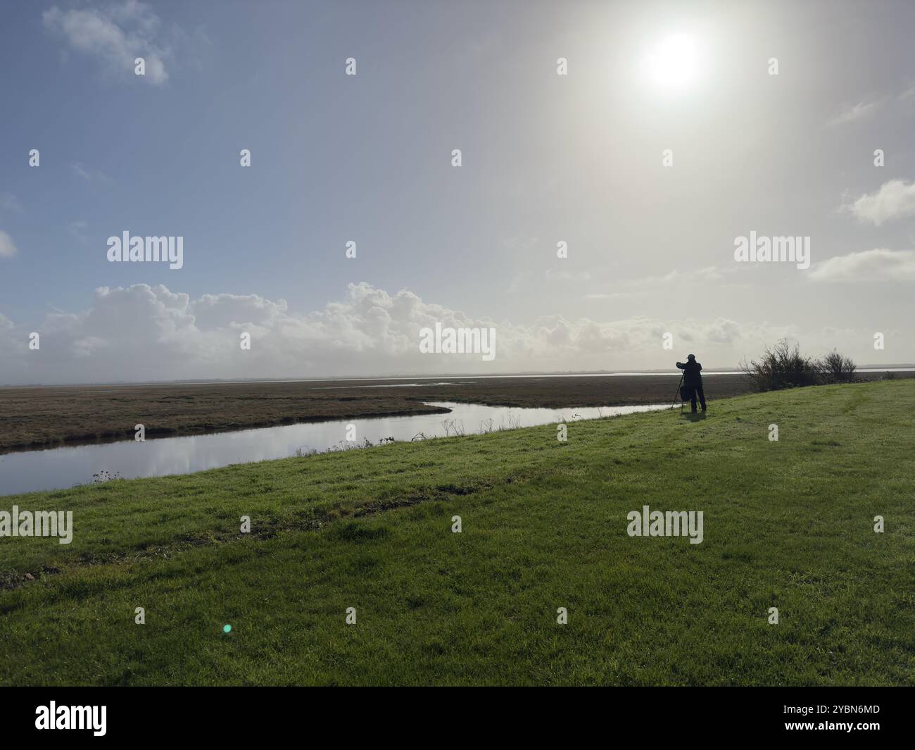 Vogelbeobachtung in Lytham Quays und Ribble Mündung, Lytham St Annes, Fylde in Lancashire, England, Großbritannien Stockfoto