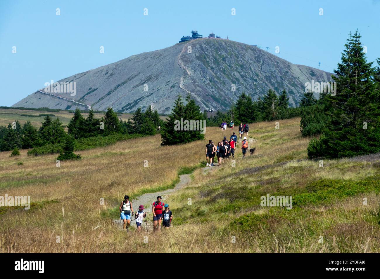 Gruppen von Touristen spazieren durch die Gipfel des Krkonose-Nationalparks Snezka im Hintergrund Stockfoto