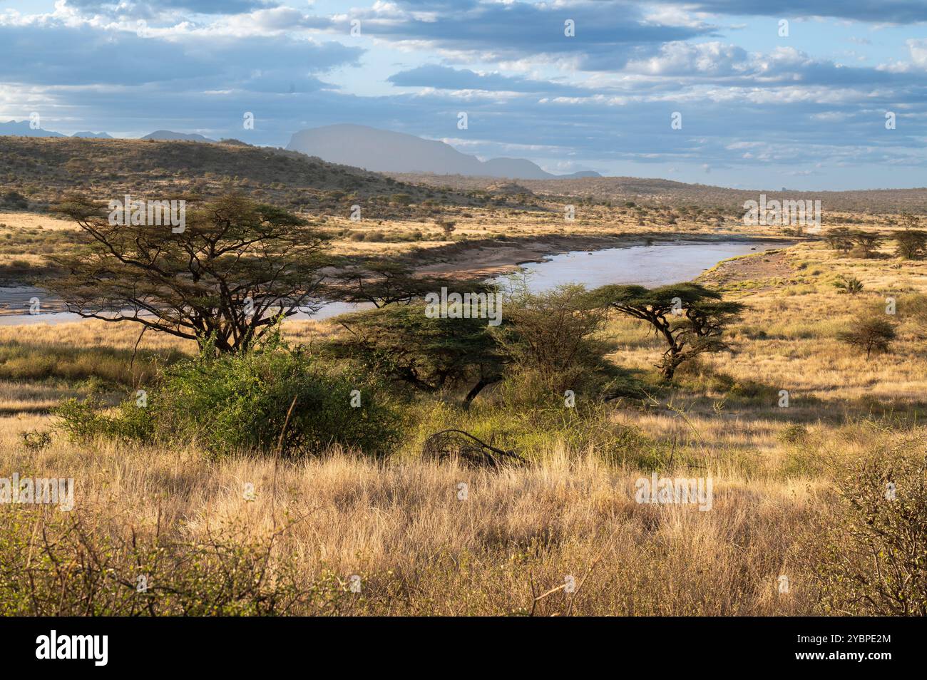 Ewaso ng'iro River, Buffalo Spring Game Reserve, Samburu National Reserve, Kenia, Afrika Stockfoto