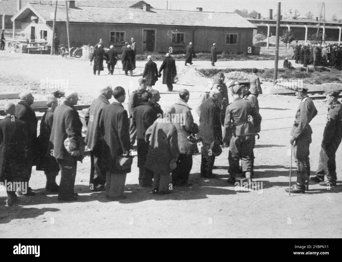 Juden aus Ungarn werden in Auschwitz ausgewählt. Im Hintergrund ist eine Gruppe von Juden, die in Richtung der Gaskammern und Krematorien unterwegs sind. Die Juden in Ungarn waren ziemlich sicher, bis Hitler aus Angst, Ungarn würde einen Vertrag mit den Alliierten suchen, die Invasion des Landes im März 1944 anordnete. Zwischen dem 15. Mai und dem 9. Juli 1944 wurden über 434.000 Juden mit 147 Zügen deportiert, die meisten nach Auschwitz, wo etwa 80 Prozent bei der Ankunft vergast wurden. Der schnelle Fortschritt der Deportationen wurde durch die enge Zusammenarbeit zwischen den ungarischen und deutschen Behörden ermöglicht. Stockfoto