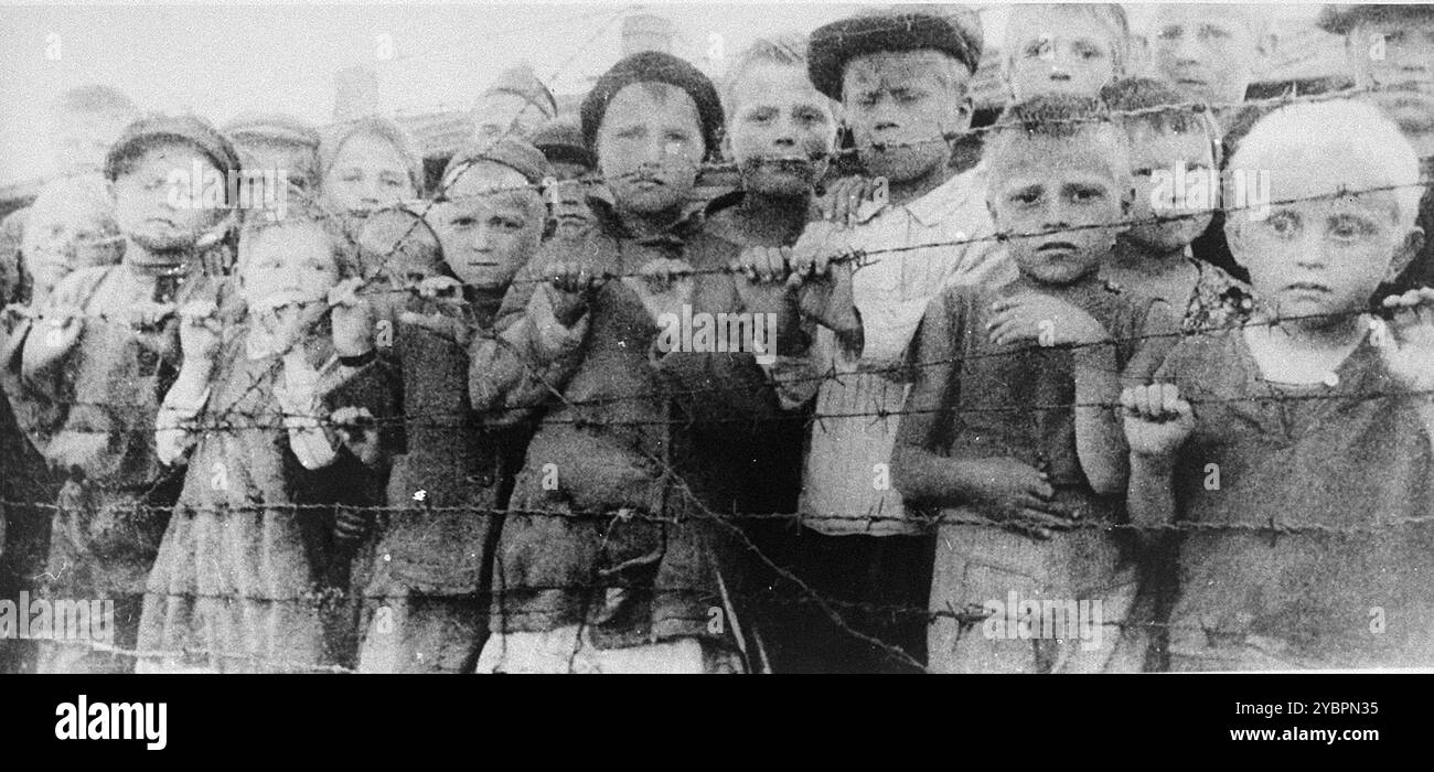 Kinder, die während der SS-Heuaktion aus Osteuropa genommen und vorübergehend in Auschwitz inhaftiert wurden und auf ihre Überführung nach Deutschland warten, schauen hinter dem Stacheldrahtzaun aus. Etwa 40.000 osteuropäische Kinder wurden während der Heuaktion nach Deutschland überführt, einem Decknamen für die Entführung von Kindern im Alter von 10 bis 14 Jahren, die für eine „Re-Germanisierung“ in das Reich geeignet waren. Die Heuaktion war eine von vielen derartigen Operationen, die von der SS in Zusammenarbeit mit Institutionen durchgeführt wurden, die von ihren Jugend- und Lebensborn-Programmen verwaltet wurden. Stockfoto