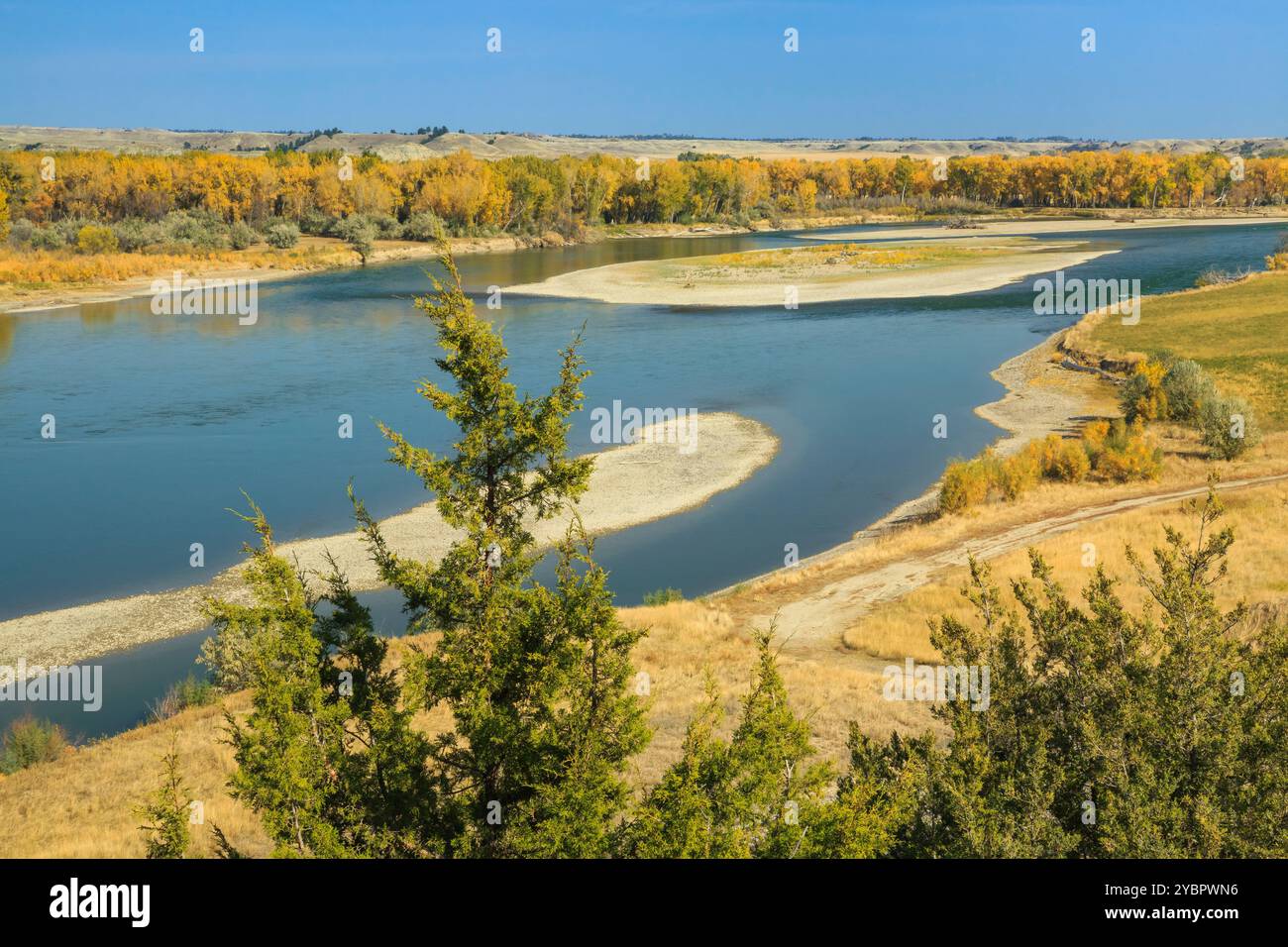 Herbstfarben entlang des yellowstone River bei forsyth, montana Stockfoto