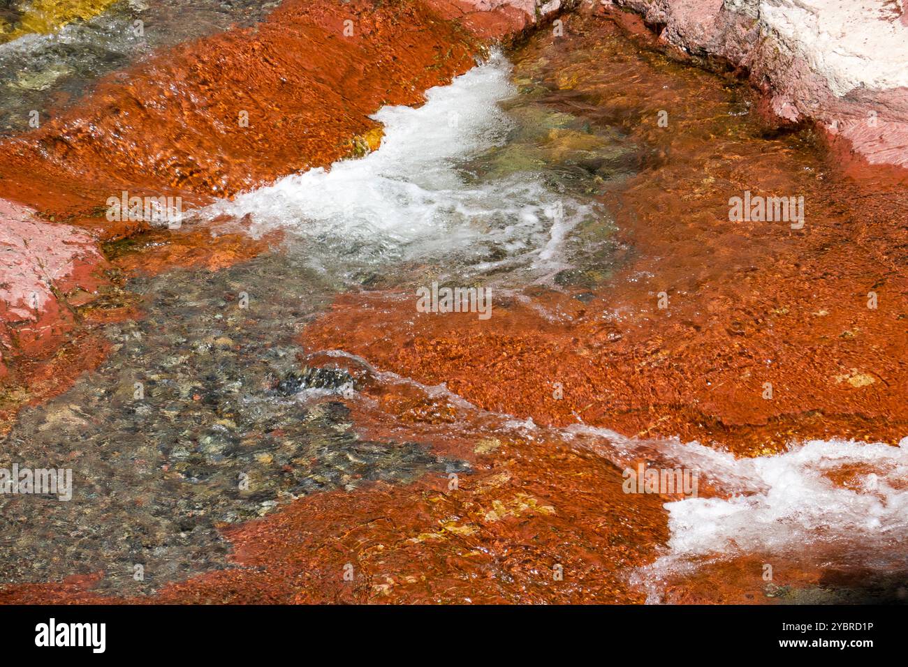 Red Rock Canyon, Waterton National Park, Alberta, Kanada, Stockfoto