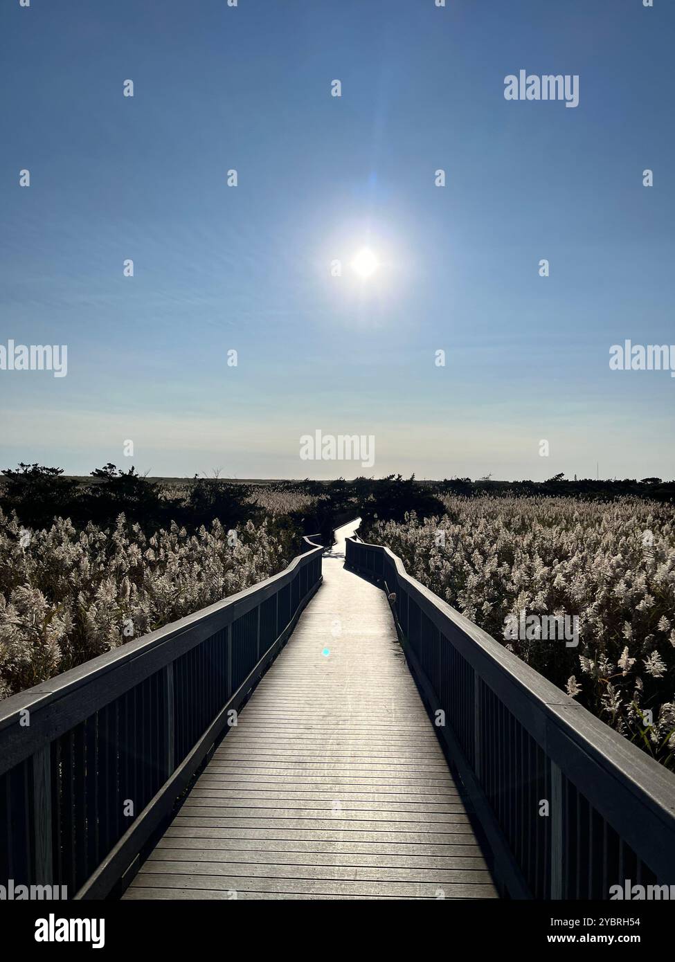 Sonnenuntergang auf Long Island - Smartphone-aufgenommenes Stockfoto