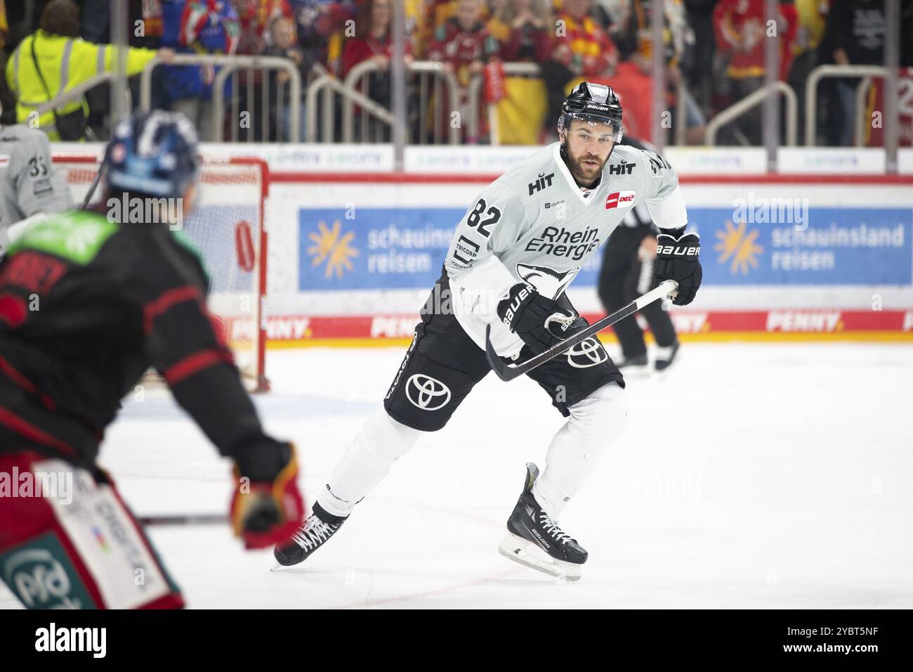 PSD Bank Dome, Düsseldorf, Nordrhein-Westfalen, Alexandre Grenier (Koelner Haie, #82), PENNY DEL, Duesseldorfer EG-Koelner Haie am 18.10.2024 in t Stockfoto