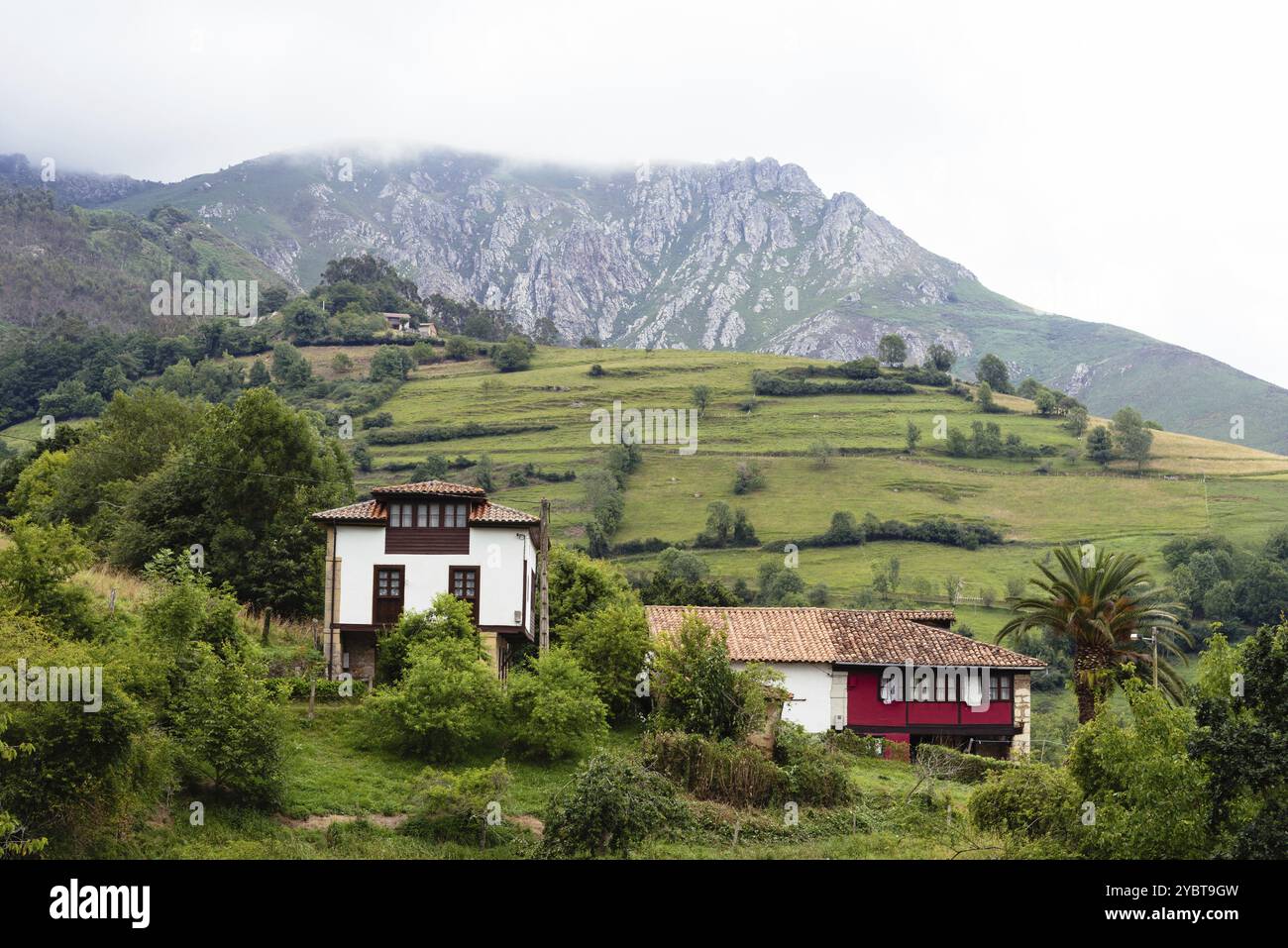 Malerische Aussicht auf das Tal in Asturien mit traditionellen Bauernhäusern und grünen Wiesen an einem nebeligen Tag. La Goleta, Pilona, Spanien, Europa Stockfoto