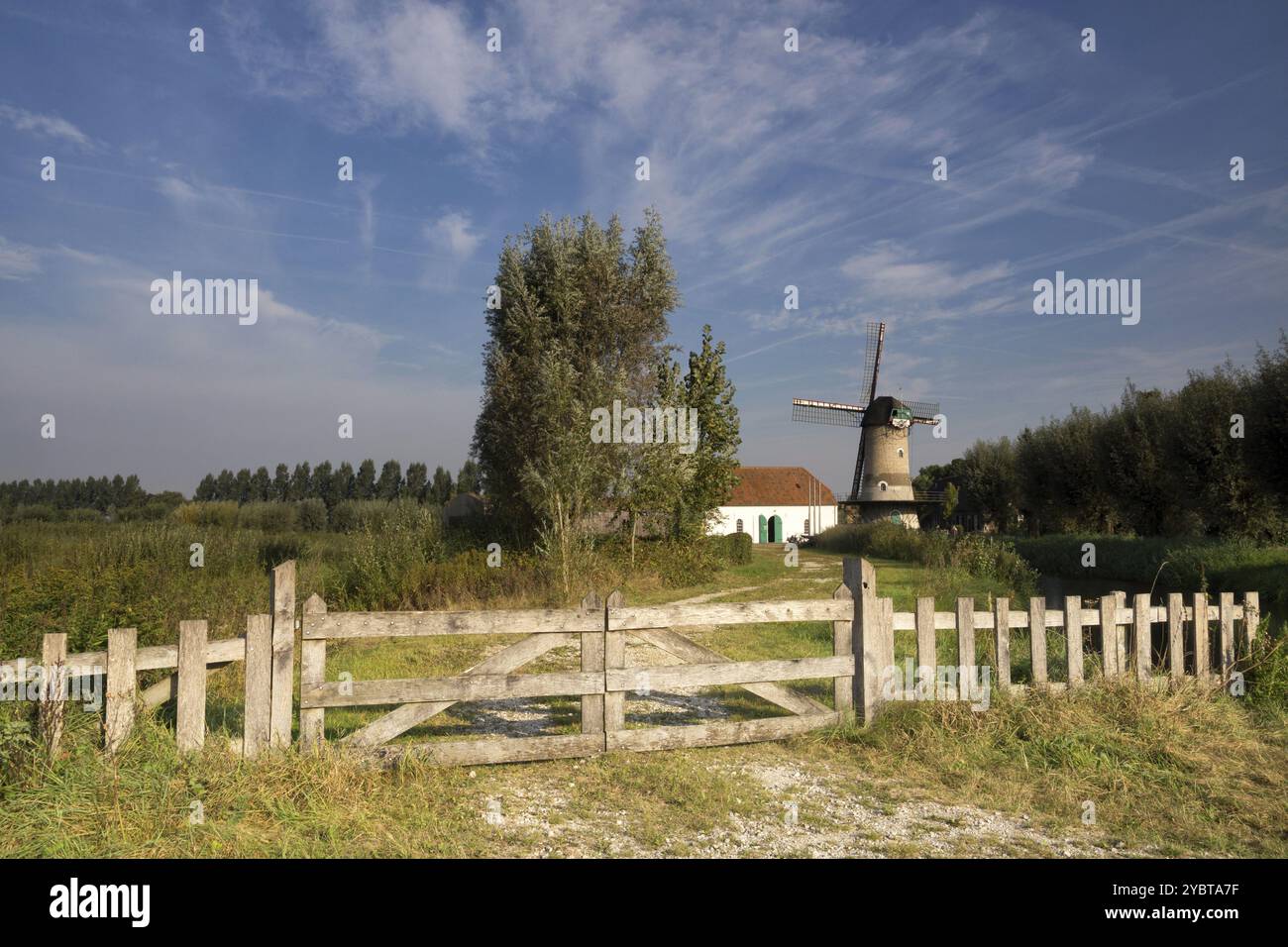 Die Kilsdonkse WindmühleDie Kilsdonkse Mühle am Fluss Brabantse AA in der Nähe des niederländischen Dorfes Dinther ist eine einzigartige Kombination aus Windmühle und Wassermühle Stockfoto