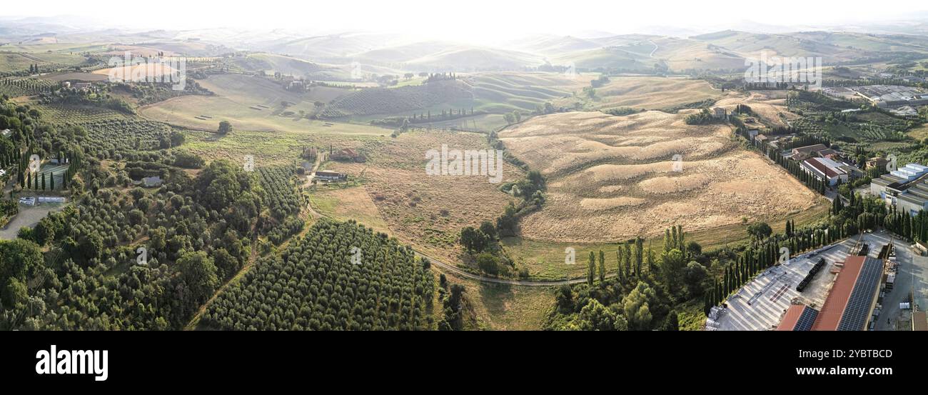 Toskanische Landschaft auf einer Straße von Zypressen in der Nähe von San Quirico d Orcia, Italien, Europa Stockfoto