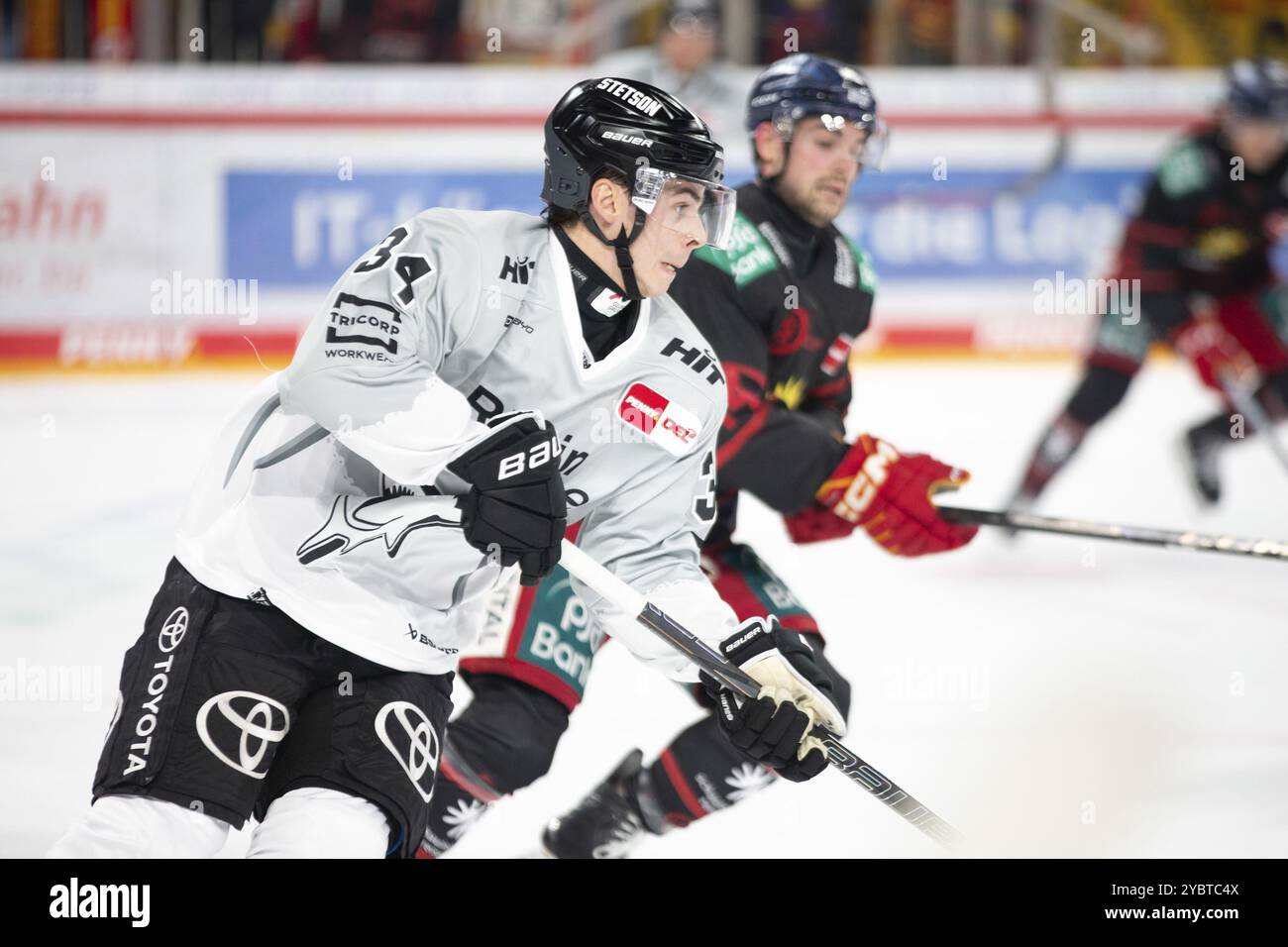 PSD Bank Dome, Düsseldorf, Nordrhein-Westfalen, Elias Lindner (Koelner Haie, #34), PENNY DEL, Duesseldorfer EG-Koelner Haie am 18.10/2024 in der P Stockfoto