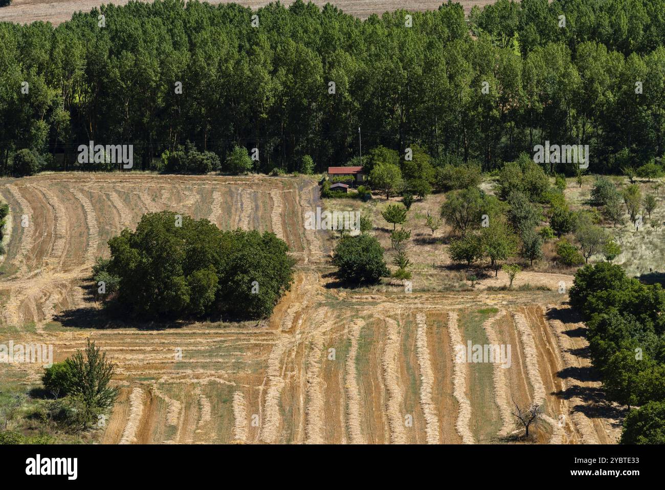 Luftaufnahme der landwirtschaftlichen Felder im Sommer. Burgos, Castilla Leon Stockfoto