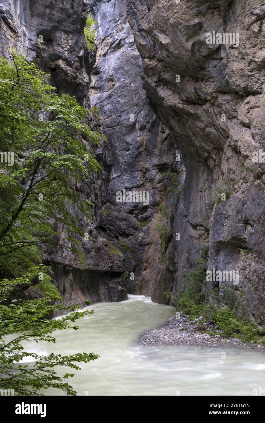 Die Aare-Schlucht in der Nähe von Meiringen im schweizerischen Berner Oberland Stockfoto