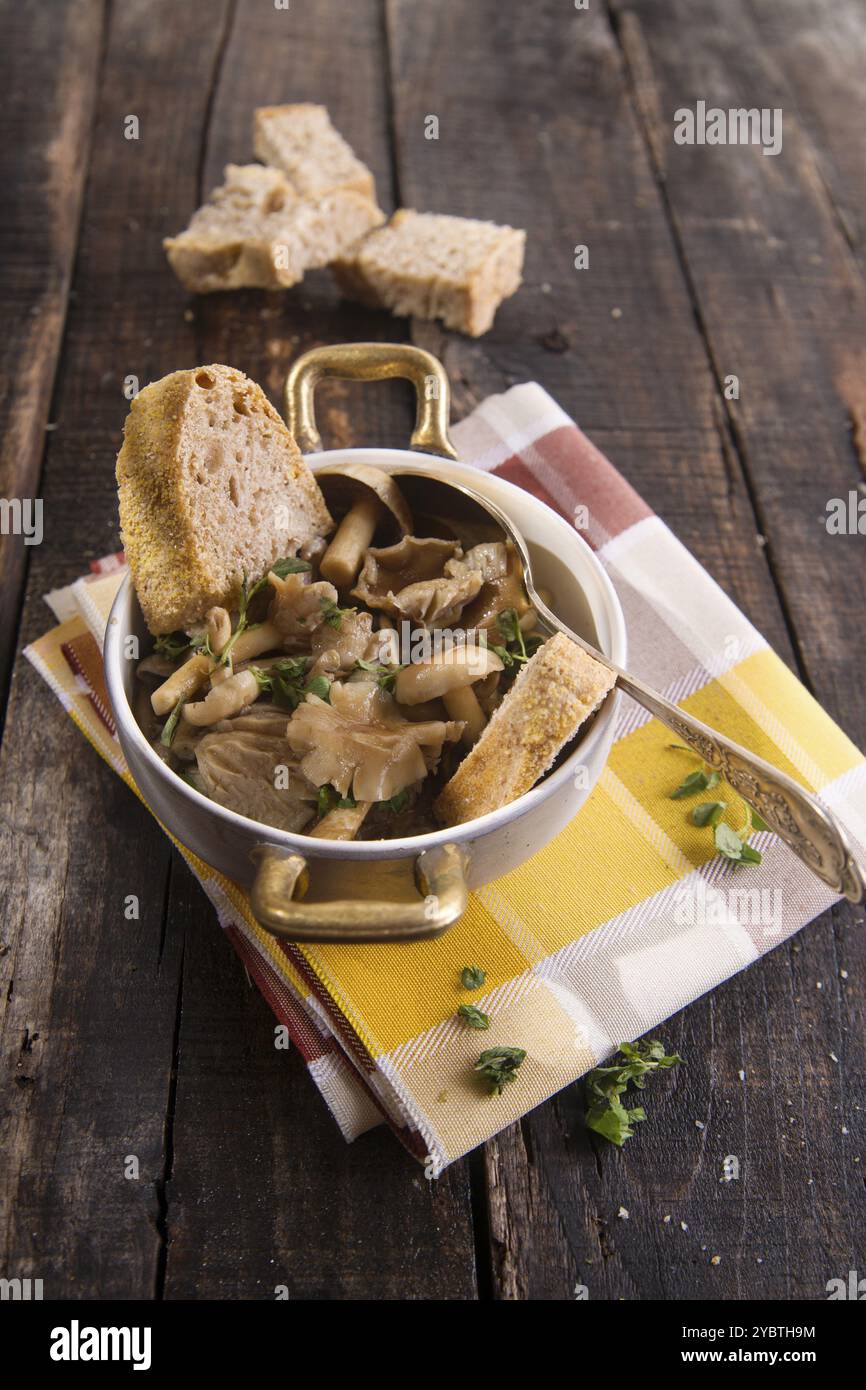 Präsentation Markup von Pilzsuppe in Pioppini auf schwarzem Tisch Stockfoto