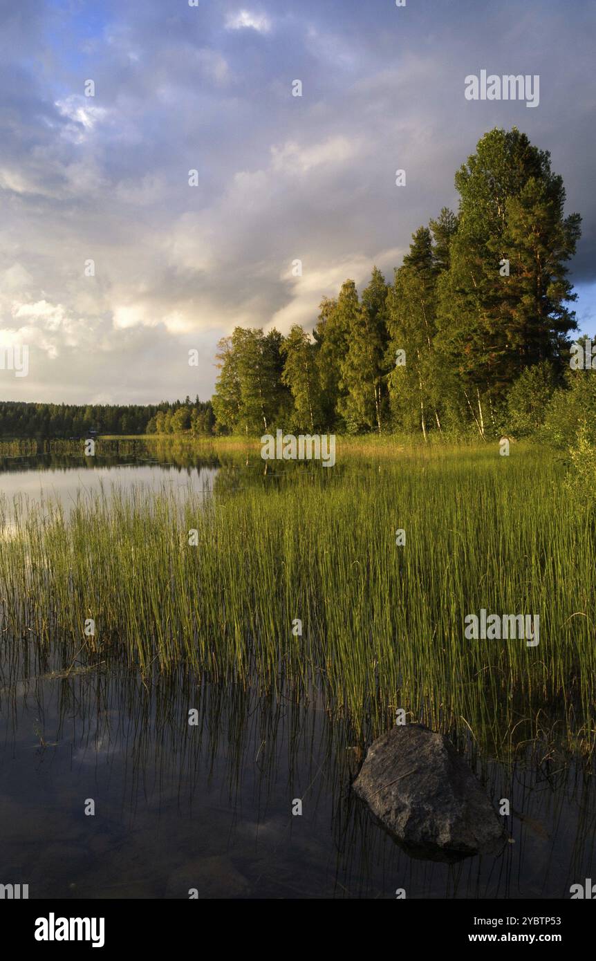 Schönen Abend am See Delsbo nahe der schwedischen Stadt Jarvso Stockfoto