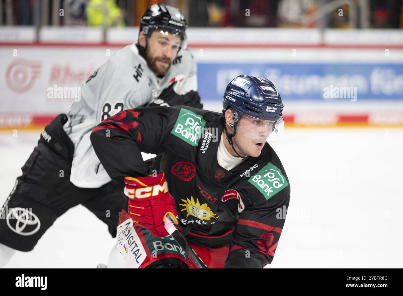 PSD Bank Dome, Düsseldorf, Nordrhein-Westfalen, Alexander blank (Duesseldorfer EG, #24), PENNY DEL, Duesseldorfer EG-Koelner Haie am 10/2024 at Stockfoto