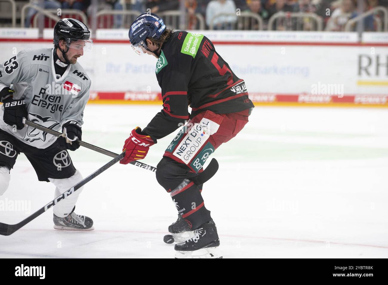 PSD Bank Dome, Düsseldorf, Nordrhein-Westfalen, Moritz Wirth (Duesseldorfer EG, #5), Adam Almquist (Koelner Haie, #53), PENNY DEL, Duesseldorfer E Stockfoto
