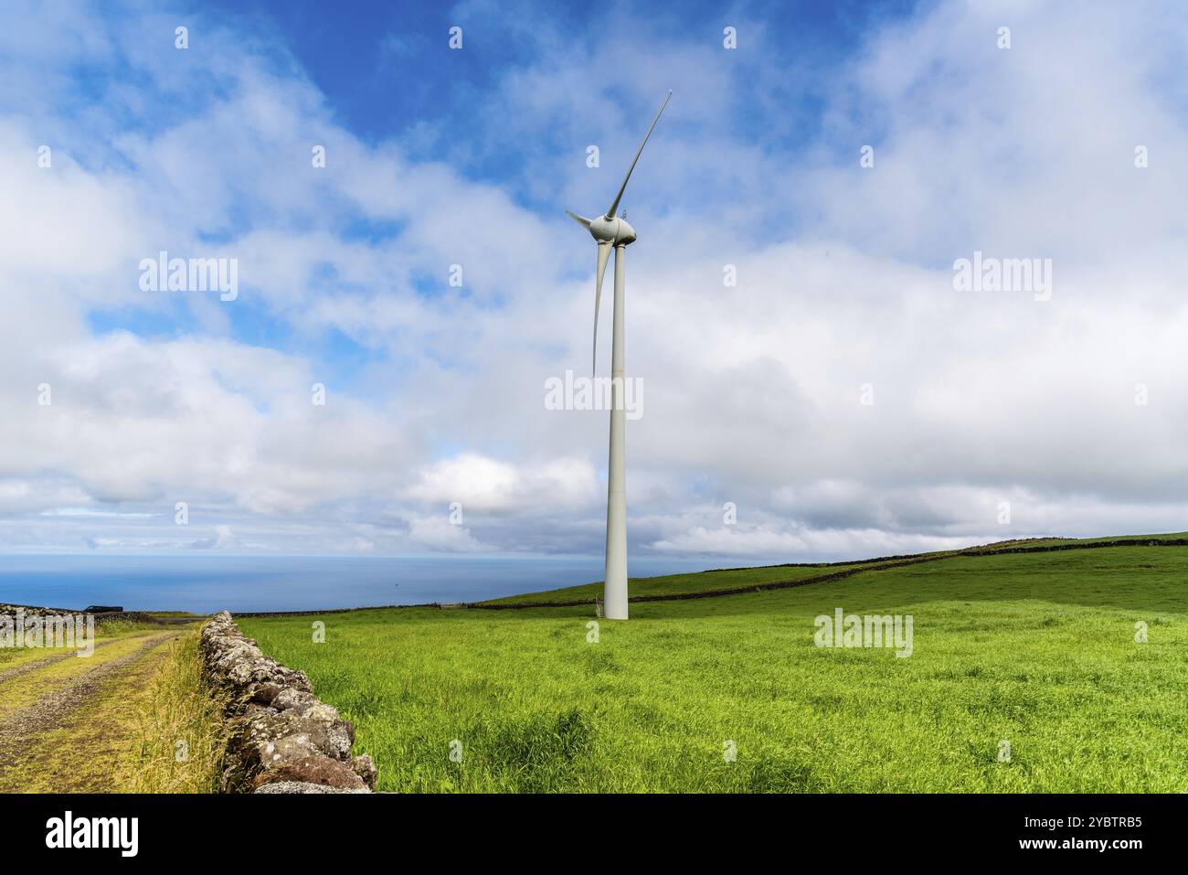 Panoramablick auf Windpark oder Windpark, mit Hochwindturbinen zur Stromerzeugung, Kopierraum. Konzept der grünen Energie. Insel Terceira, A Stockfoto