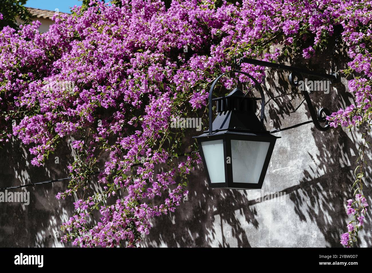 Gemütliche Straße von Evora mit weiß getünchten Wänden, hängenden Bougainvillea Pflanzen und Laterne. Alentejo, Portugal, Europa Stockfoto