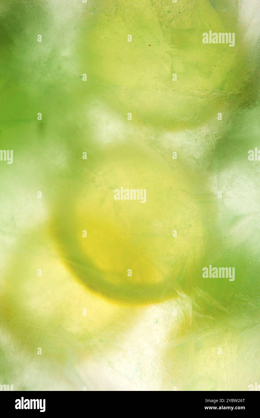 Zitronenscheiben mit Minzblättern und Zweige Petersilie auf Eis Stockfoto