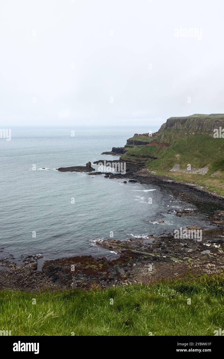 Die Küste des Giant's Causeway mit felsigen Küsten und überlagerten Klippen. Das ruhige Wasser des Atlantiks verschmilzt mit den grünen Klippen im Hintergrund (vertikal Stockfoto