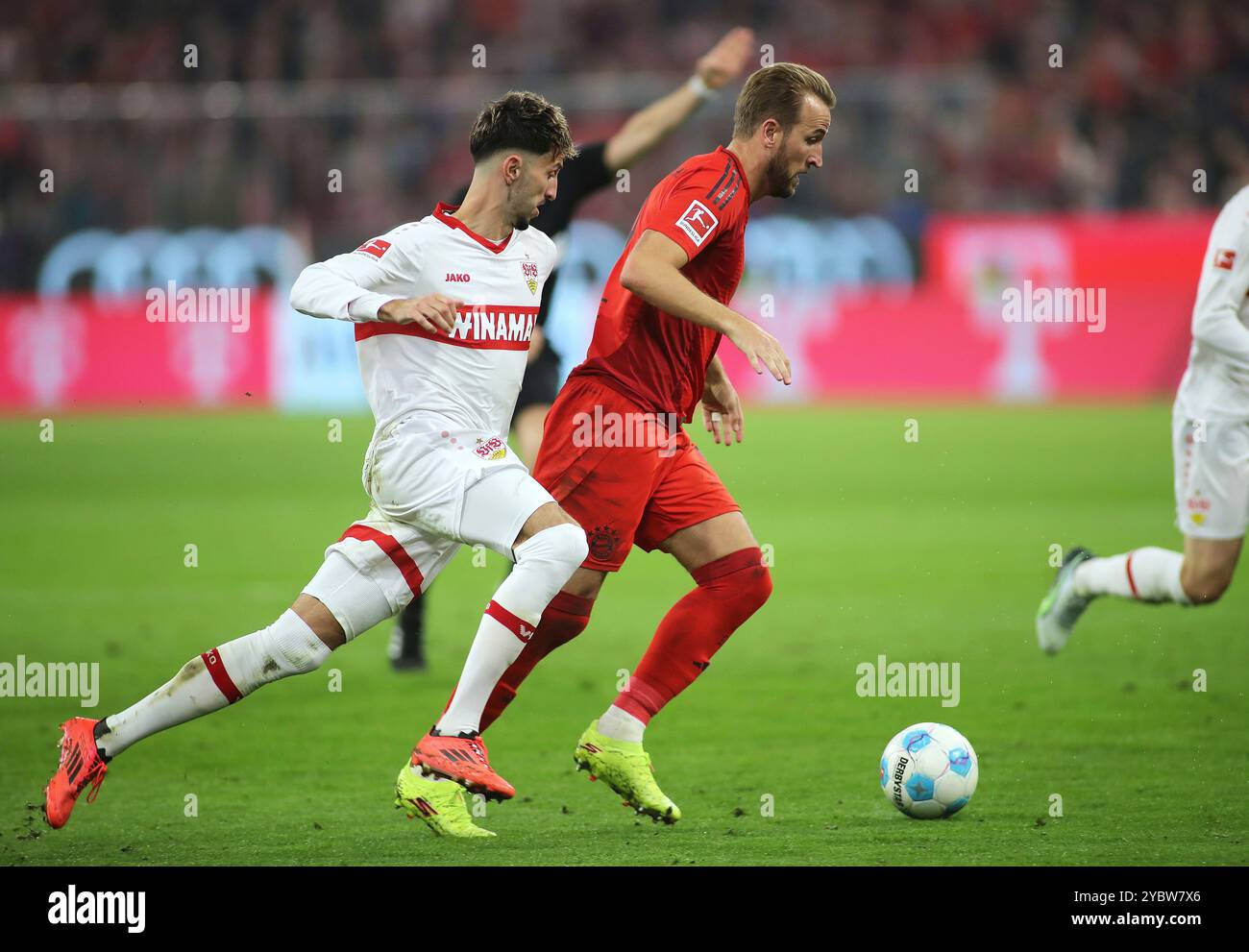 München, Deutschland, 19. Oktober 2024: Fussball, Herren, Bundesliga, Saison 2024/2025, FC Bayern München - VFB Stuttgart, Allianz Arena Atakan Karazor (VfB Stuttgart) (li.) mit Harry Kane (FC Bayern München) (re.) im Zweikampf, Kampf um den Ball DFB, DFL-Vorschriften verbieten jede Verwendung von Fotografien als Bildsequenzen und/oder Quasi-Video Stockfoto