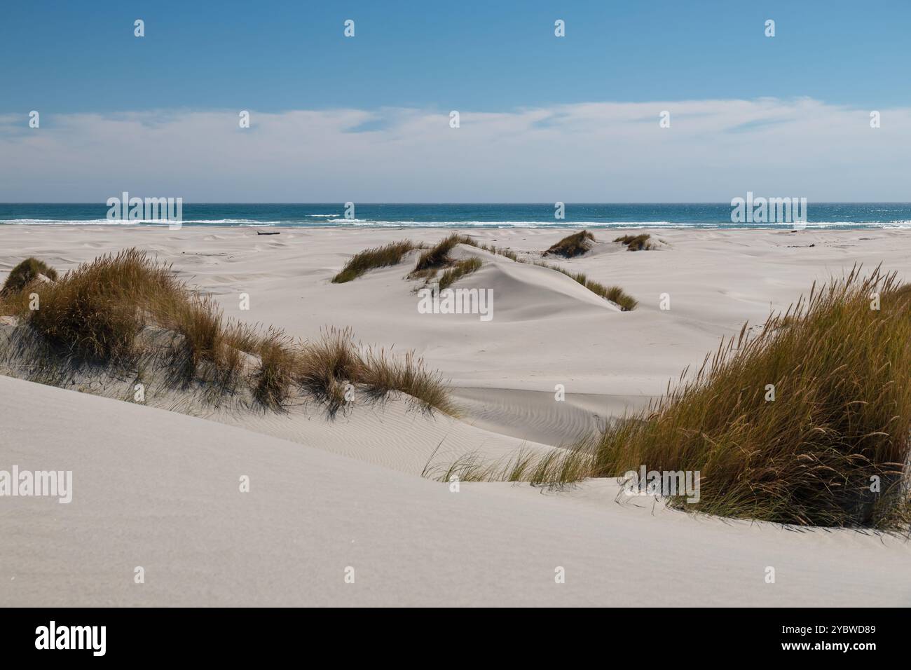 Sanddünen, wie sie an den Stränden von Farewell Spit an einem ruhigen Sommertag gesehen werden (Südinsel, Neuseeland) Stockfoto