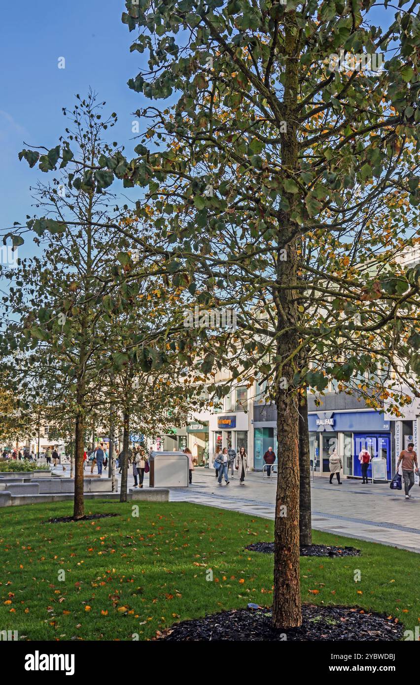New George Street, Plymouth. Durch die im Rahmen der im Oktober 2024 abgeschlossenen Renovierung gepflanzten Stämme gesehen. Das Upgrade, das eine neue Abflussöffnung brachte Stockfoto