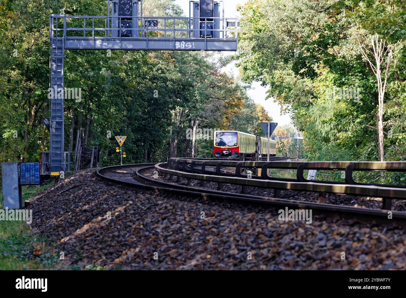 S-Bahnzug nahe Olympiastadion 2024 Deutschland, Berlin Zug der DB-Tochter S-Bahn Berlin GmbH BR 481 als Linie S 3 nahe dem Olympiastadion im Berliner Grunewald. *** S-Bahn-Zug in der Nähe des Olympiastadions 2024 10 17 Deutschland, Berliner Zug der DB-Tochtergesellschaft S Bahn Berlin GmbH BR 481 als Linie S 3 in der Nähe des Olympiastadions in Berlin Grunewald Stockfoto