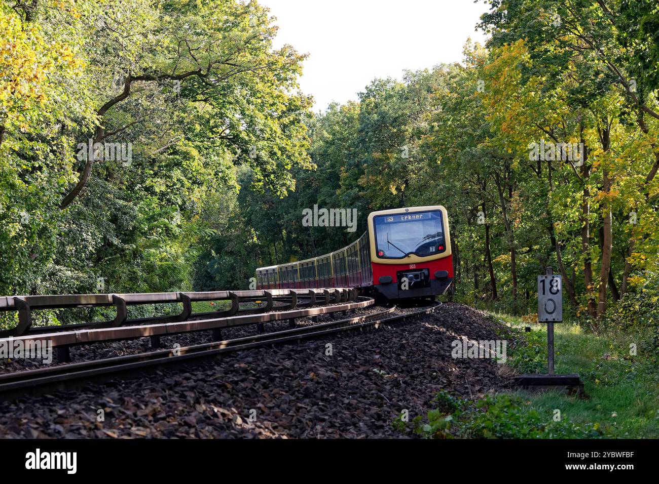 S-Bahnzug nahe Olympiastadion 2024 Deutschland, Berlin Zug der DB-Tochter S-Bahn Berlin GmbH BR 481 als Linie S 3 nahe dem Olympiastadion im Berliner Grunewald. *** S-Bahn-Zug in der Nähe des Olympiastadions 2024 10 17 Deutschland, Berliner Zug der DB-Tochtergesellschaft S Bahn Berlin GmbH BR 481 als Linie S 3 in der Nähe des Olympiastadions in Berlin Grunewald Stockfoto