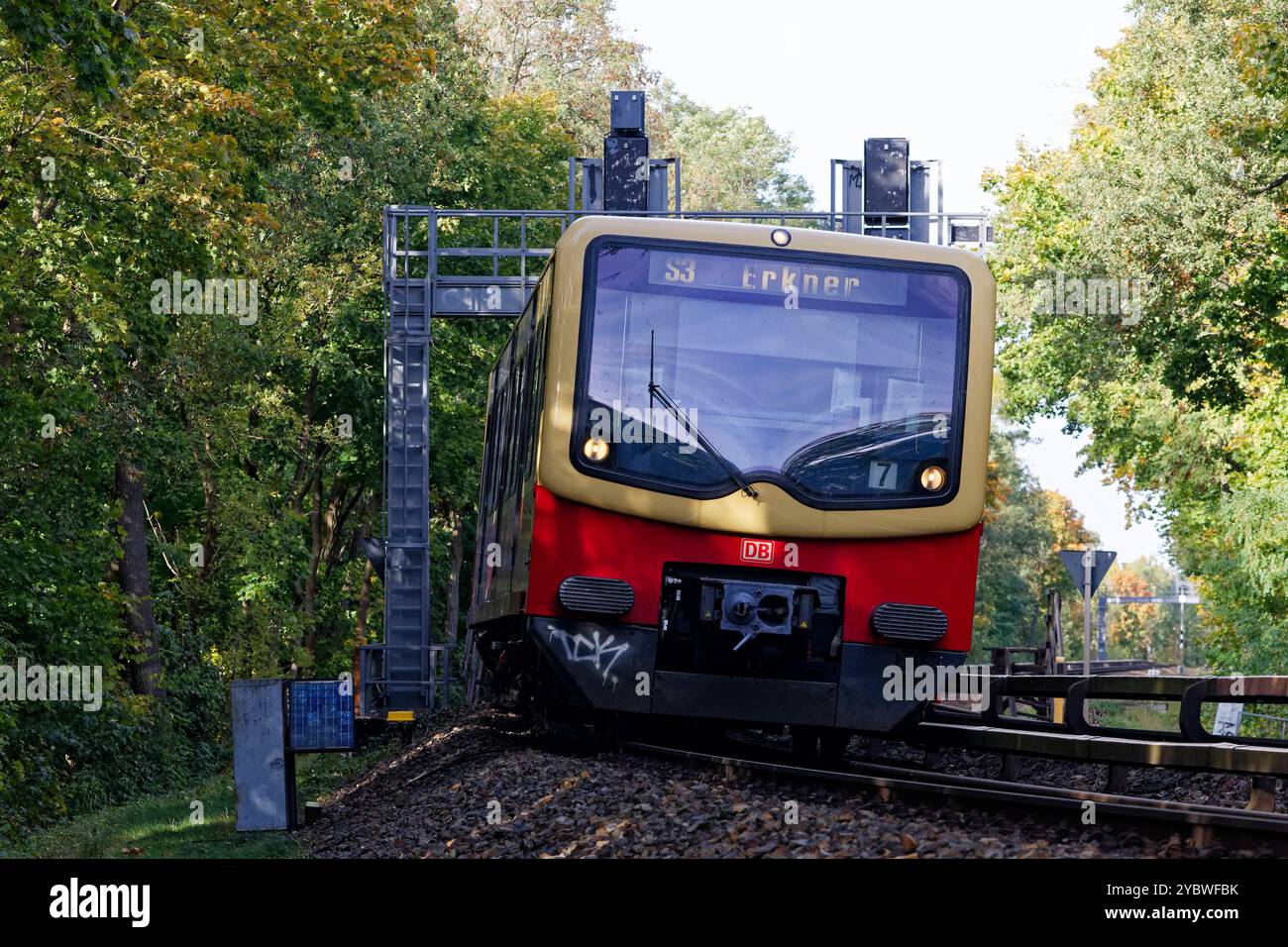 S-Bahnzug nahe Olympiastadion 2024 Deutschland, Berlin Zug der DB-Tochter S-Bahn Berlin GmbH BR 481 als Linie S 3 nahe dem Olympiastadion im Berliner Grunewald. *** S-Bahn-Zug in der Nähe des Olympiastadions 2024 10 17 Deutschland, Berliner Zug der DB-Tochtergesellschaft S Bahn Berlin GmbH BR 481 als Linie S 3 in der Nähe des Olympiastadions in Berlin Grunewald Stockfoto