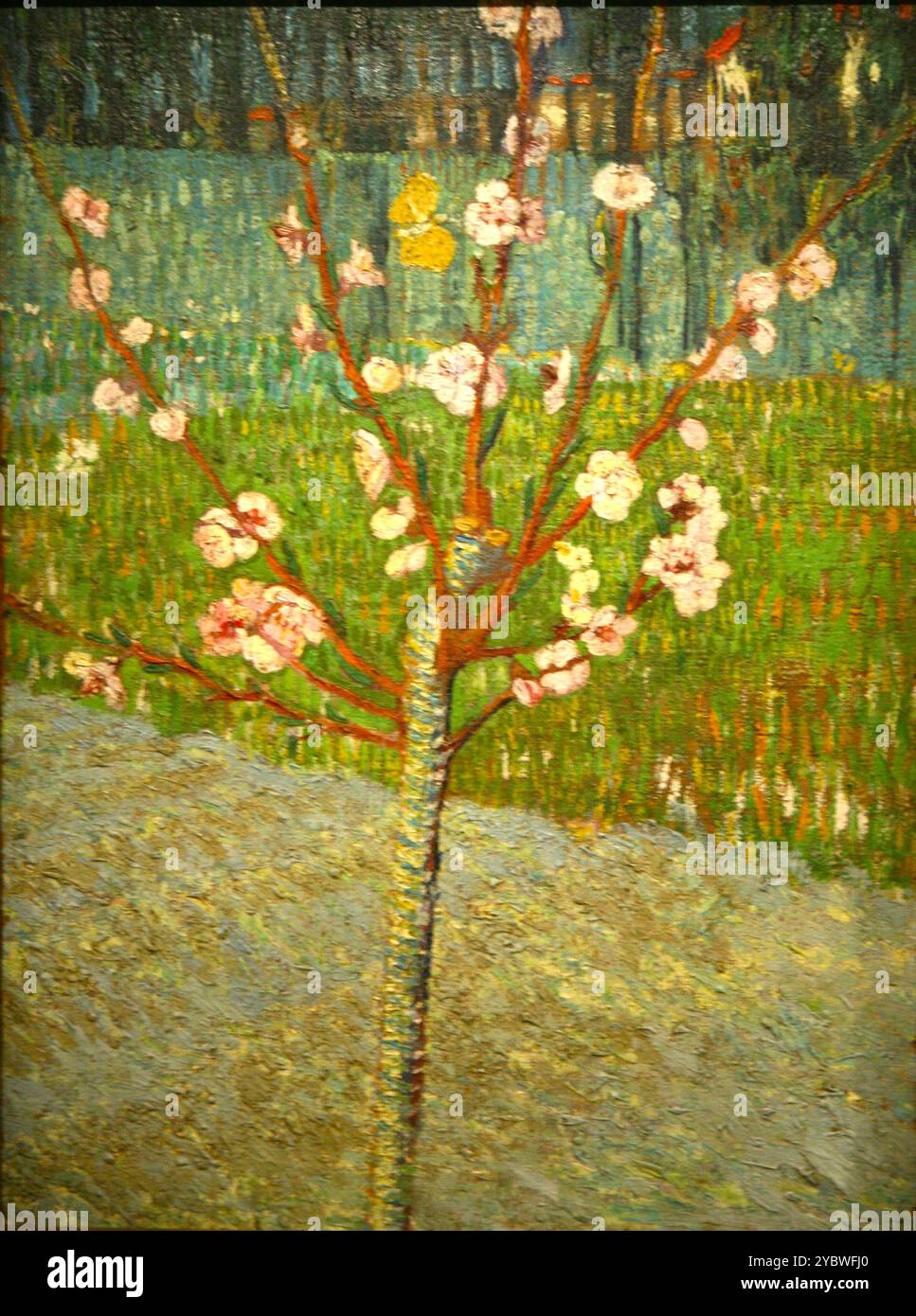 Pfirsichbaum in Blüte 1888 Vincent van Gogh Stockfoto