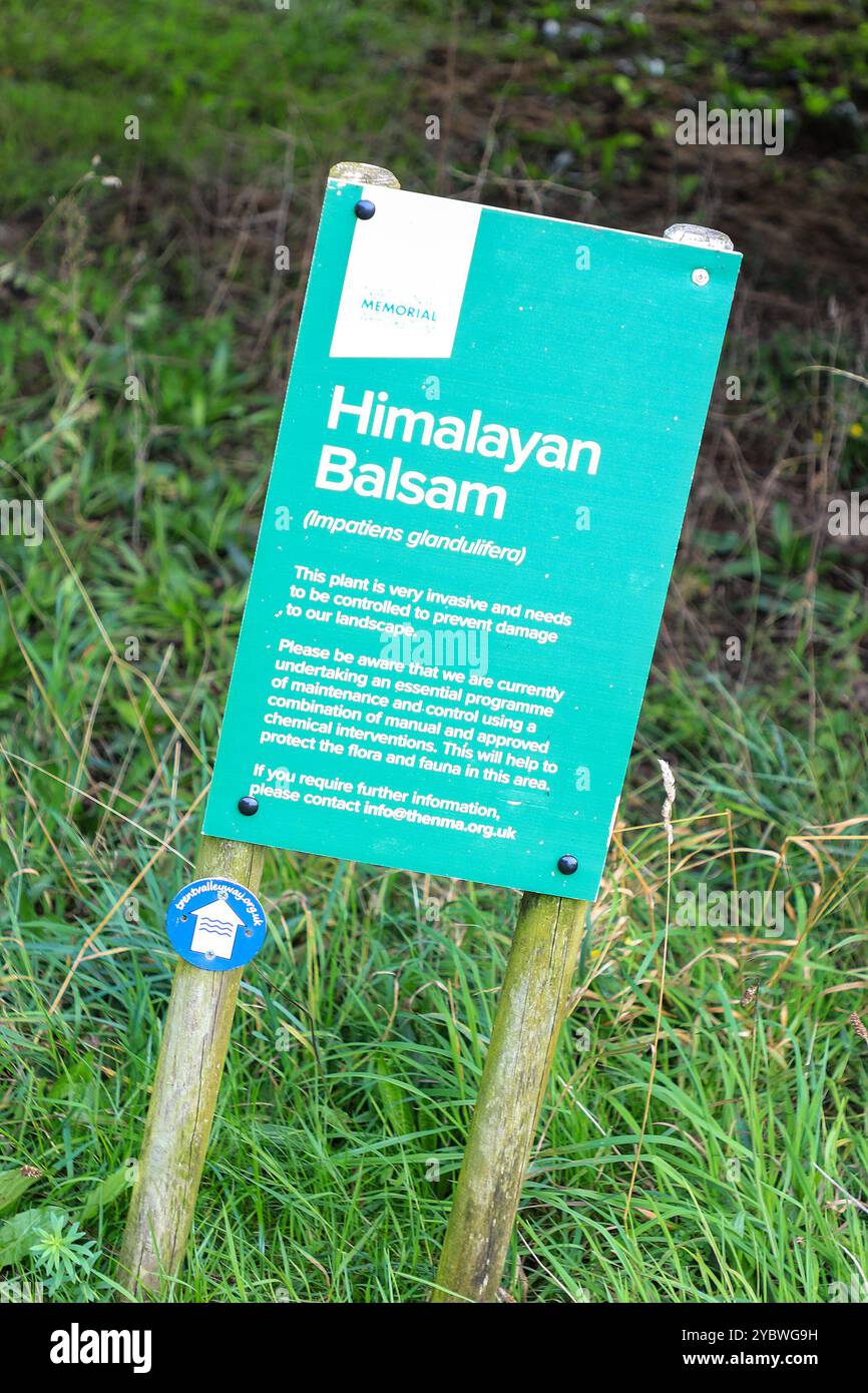 Ein Zeichen, das besagt, dass Himalaya-Balsam (Impatiens glandulifera) kontrolliert wird, da es sich um eine sehr invasive Art handelt. England, Großbritannien Stockfoto