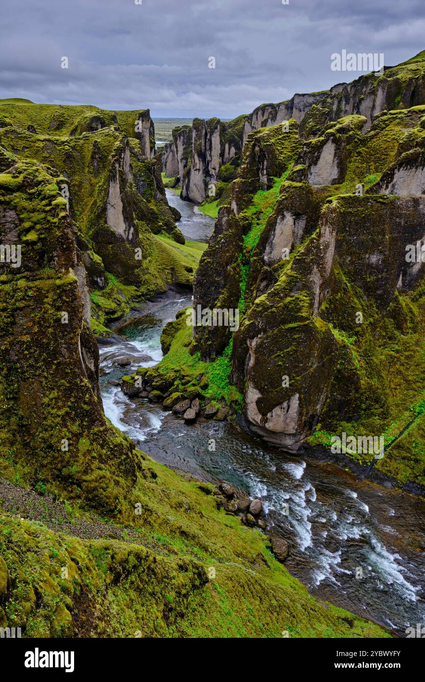 Island, Sudurland, Fjadrargljufur Canyon im Süden Islands Stockfoto