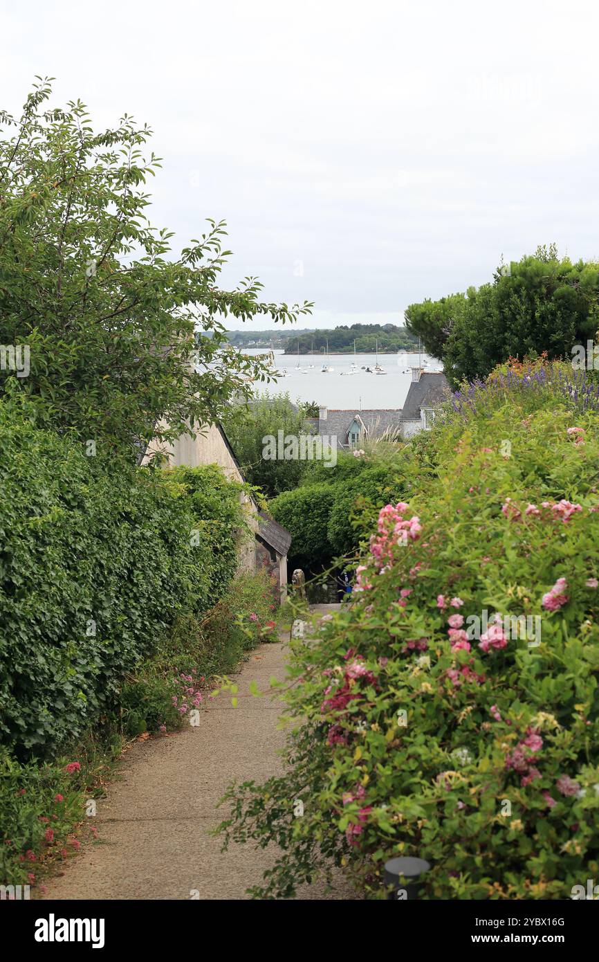 Blick auf die Rue des Escalliers in Richtung Meer von Le Bourg, Ile Aux Moines, Golfe du Morbihan, Morbihan, Bretagne, Frankreich Stockfoto