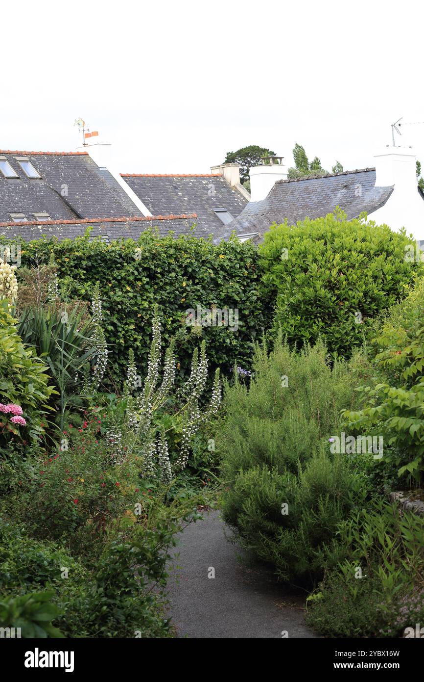 Blick entlang der Rue des Escalliers in Richtung Dächer, Le Bourg, Ile Aux Moines, Golfe du Morbihan, Morbihan, Bretagne, Frankreich Stockfoto