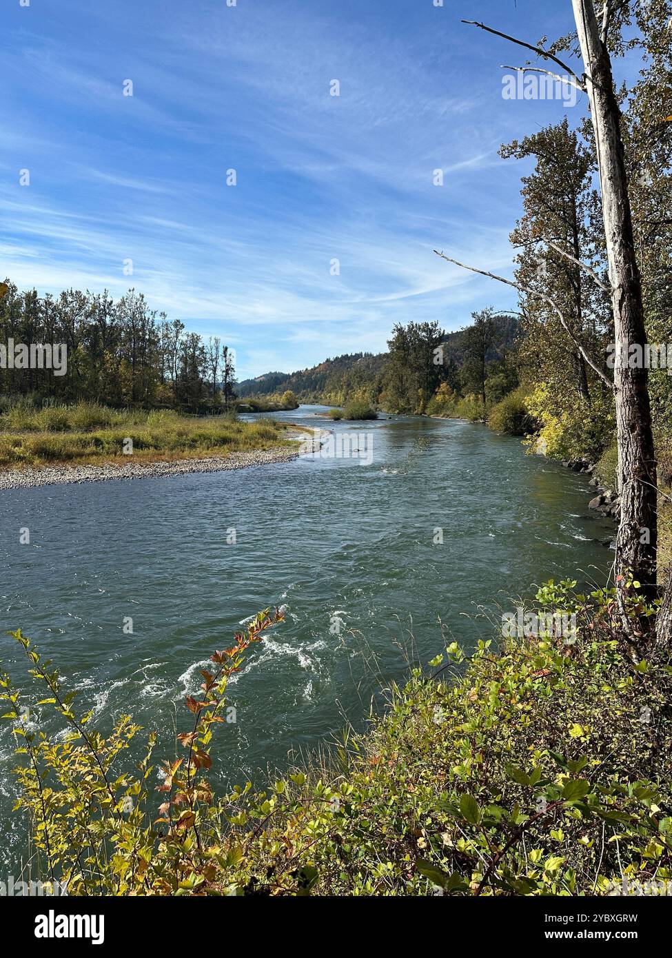 Der mittlere Fork des Willamette River in Springfield, Oregon, an einem sonnigen Herbsttag. Stockfoto