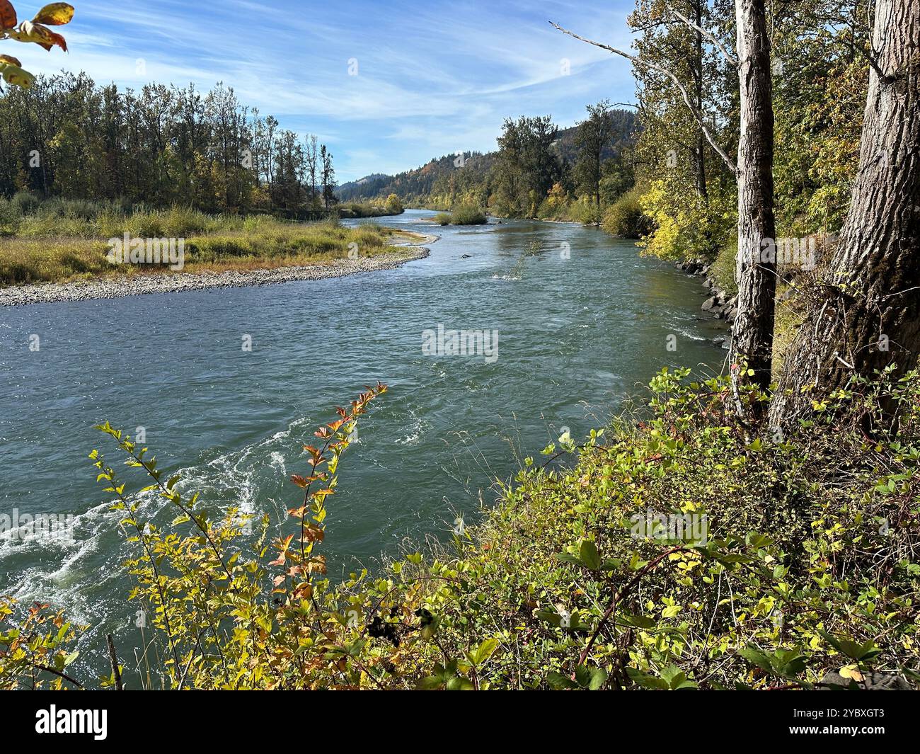 Der mittlere Fork des Willamette River in Springfield, Oregon, an einem sonnigen Herbsttag. - Smartphone-aufgenommenes Stockfoto