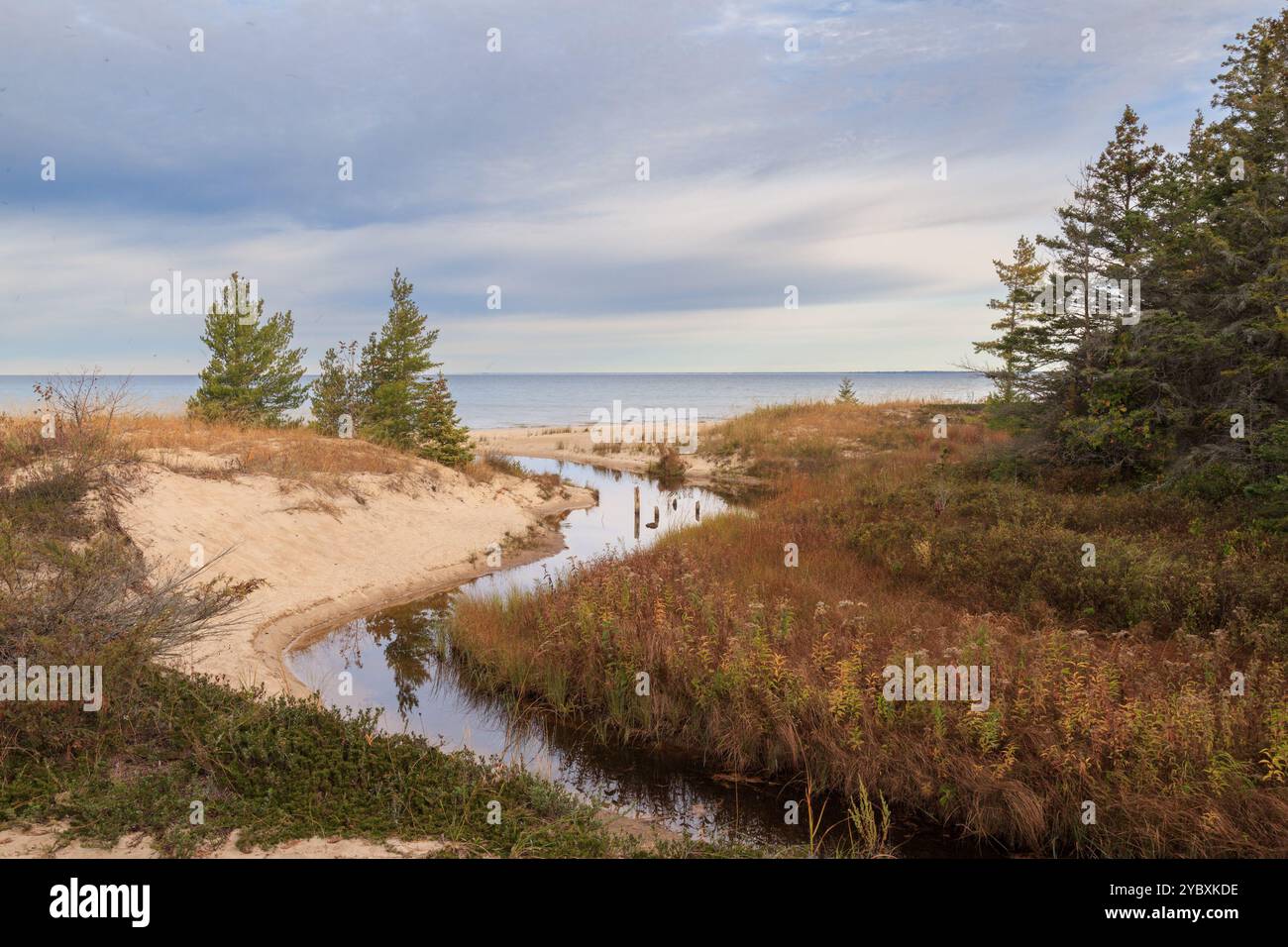 Der Fluss führt zum Lake Michigan in der Nähe des Wilderness State Park im Herbst, Michigan Stockfoto