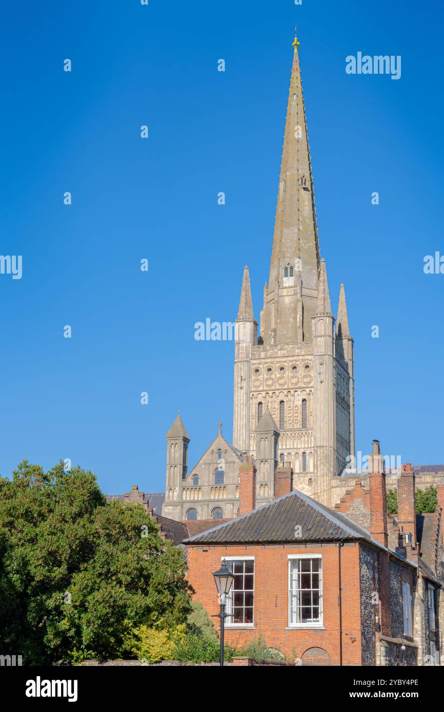 Die Kathedrale von Norwich überragt an einem Tag mit blauem Himmel in Portrait über nahe gelegenen Häusern Stockfoto