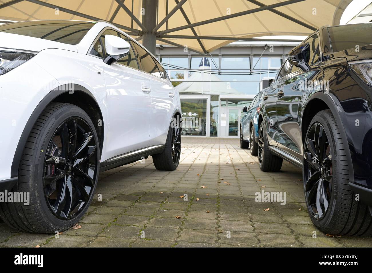 DEUTSCHLAND, Sittensen, Autohaus für chinesische Elektroautos BYD / DEUTSCHLAND, Sittensen, Autohaus für chinesische Elektroautos BYD, Made in China Stockfoto