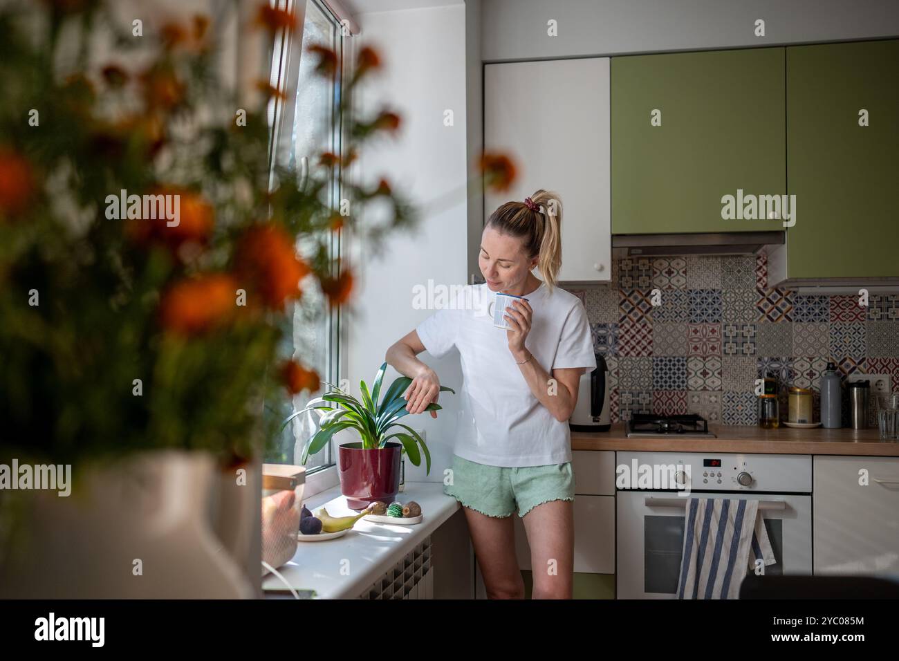 Ruhige Hausfrau, die Zimmerpflanzen tränkt, die Gesundheit der Blumen überprüft, Blätter in der Küche allein bestäubt Stockfoto